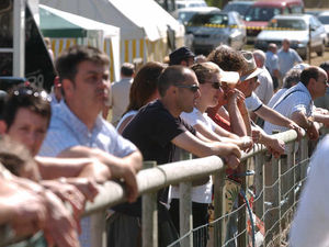 Supporting image for story: Top 10 things to do in the Midlands this weekend