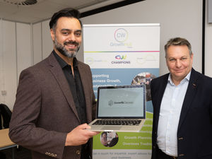 Supporting image for story: Growth Canvas platform helps with business support