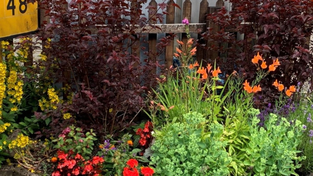 A Powys community famous for its award winning gardens and flowers, has heard a talk about the National Garden Scheme