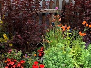 Supporting image for story: A Powys community famous for its award winning gardens and flowers, has heard a talk about the National Garden Scheme