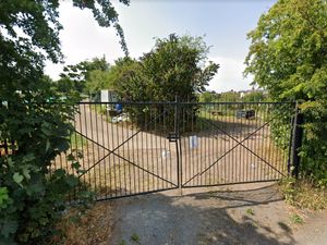 Supporting image for story: Thieves target tools and vegetables at allotment site