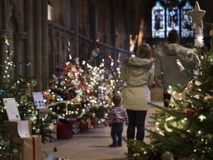 Supporting image for story: Christmas tree festival to return to cathedral 