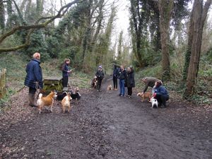 Supporting image for story: Telford pet memorial walk lets owners remember furry friends