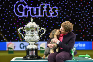 Maisie the Wire-haired Dachshund winner of Best in Show 2020 at the Birmingham National with her owner Kim McCalmont at the Exhibition Centre (NEC) during the Crufts Dog Show