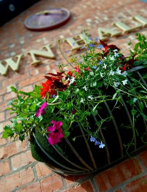 The town council provides 77 baskets, 29 mangers and 35 pole tops throughout the town. Picture: Market Drayton Town Council.