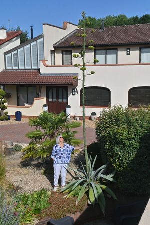 Hilary Chappin and the stunning rare flower which has bloomed from her 50-year-old Agave plant.