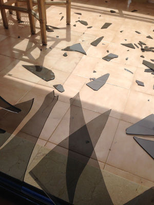 She suffered deep cuts and was left with permanent scars following the incident on Gran Canaria.