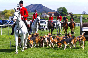 Hounds are at the ready at Eyton Races at Eyton-on-Severn