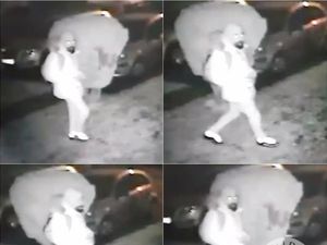 Supporting image for story: Police searching for man with large rucksack