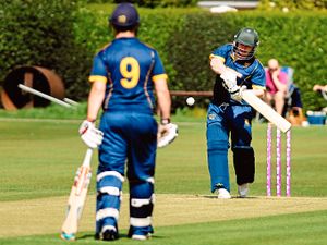 Supporting image for story: County shine in Shropshire sun