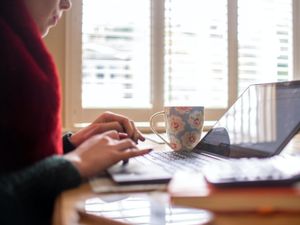 Supporting image for story: Internet shopping and banking boom ‘making adults feel more vulnerable to fraud’