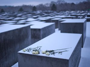 Supporting image for story: World pauses to commemorate International Holocaust Remembrance Day