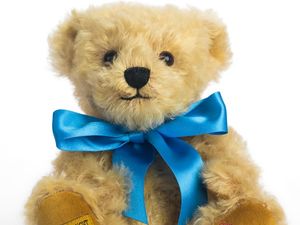 Supporting image for story: Telford firm's Bevan the bear to bring comfort and cash amid Covid-19