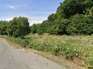 Supporting image for story: MP joins battle to save green space from business park expansion
