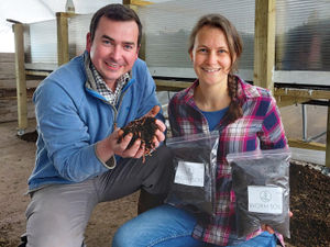 Supporting image for story: Pair get down to earth with worm farm venture