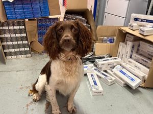 Supporting image for story: Police, trading standards and sniffer dogs raid Walsall shops and seize £365,000 worth of illegal vapes, cigarettes and tobacco