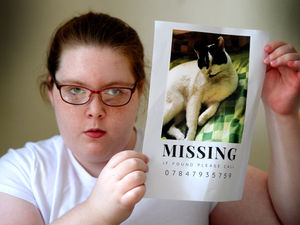 Supporting image for story: Heartbreak as cat that 'recognises seizures' goes missing