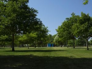 Supporting image for story: National Memorial Arboretum given emergency £100,000 Lottery grant