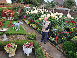 Supporting image for story: Great grandfather's an award-winner