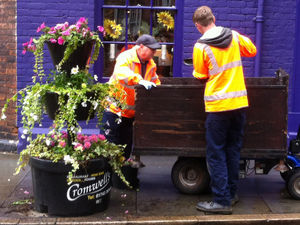 Supporting image for story: Flowers destroyed in Shrewsbury night time vandal attack