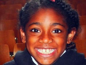 Supporting image for story: Ministers apologise to mother of girl who died after air pollution asthma attack