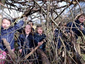 Supporting image for story: Watch: Forest school for Shropshire pupils
