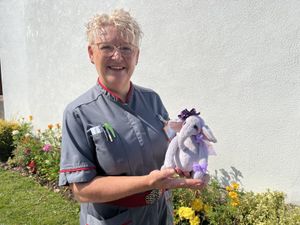 Supporting image for story: Hospice nurse combines caregiving and creativity to raise funds