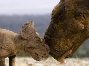 Supporting image for story: Adult and baby Pachyrhinosaurus in first look at BBC’s Walking With Dinosaurs