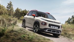 Supporting image for story