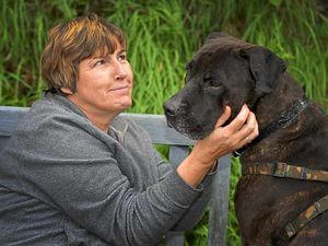 Supporting image for story: Make rescue dogs part of your family