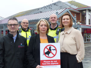 Supporting image for story: Don't feed the pigeons! £75 fine warning for Sandwell towns