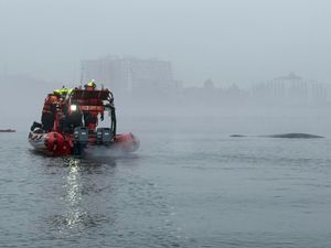 Sea rescuers approach a whale that got caught in fishing nets off the Baltic Sea beach near Miedzyzdroje, Poland