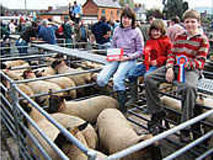 Supporting image for story: Suffolks take championship