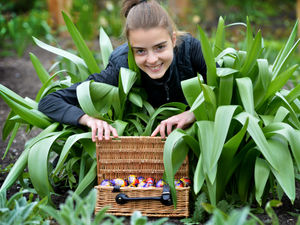 Supporting image for story: All manner of Easter fun at gardens near Market Drayton