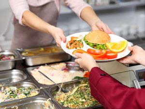 Supporting image for story: ‘Worrying’ rise in pupils needing free meals in Shropshire