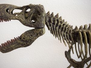 Supporting image for story: A dinosaur taking on the dictionary is probably the most bizarre feud ever