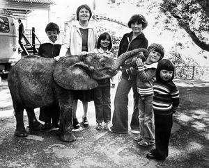 Supporting image for story: 'Support your local pharmacy because you will regret it when they are gone' - Your Letters: August 11