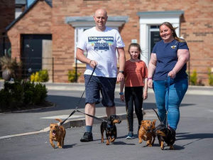 Supporting image for story: DIY family opt for new build new  home