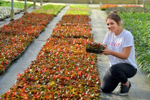 Caitlyn Hopkinson from Shrewsbury takes a look.