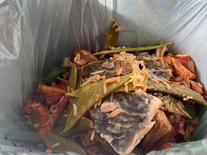 Supporting image for story: Walsall food waste collection service scrutinised