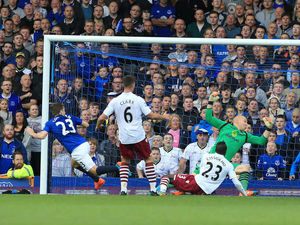 Supporting image for story: Report and pictures of Everton 3 Villa 0