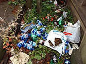 Supporting image for story: Why should we pay to shift litter?