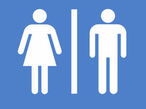 Supporting image for story: Vandal-hit Market Drayton toilet block to be replaced