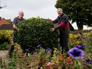 Supporting image for story: Ambitions to bring back 'green vision of Newport' through tree scheme 