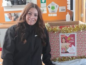 Supporting image for story: Leisure centres collecting for Christmas toy appeal