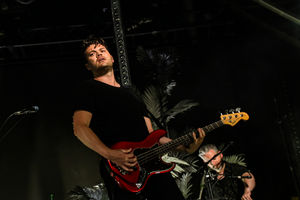 Foals. Photo by: Adriana Vasile