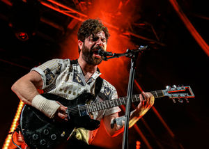 Foals. Photo by: Adriana Vasile