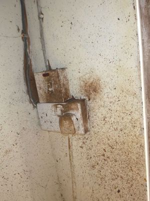 Grease smeared up the wall by rats' coats. Photo: Walsall Council