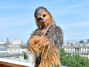 Supporting image for story: Star Wars directors and cast pay tribute to ‘true legend’ Chewbacca star Mayhew