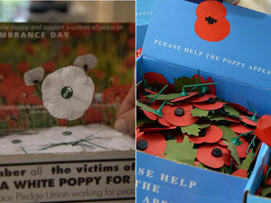 Supporting image for story: Poppy argument not black and white